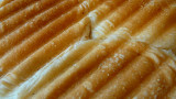 panini