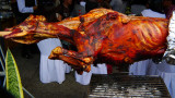 roast calf