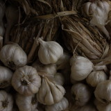 garlic