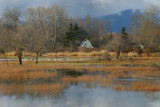 Distant Buildings