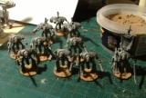 Knights009.jpg
