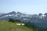 IMGP2884.jpg