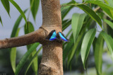DS0_0863.jpg
