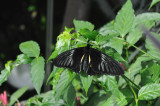 DS0_0878.jpg