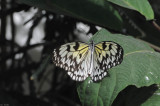 DS0_0879.jpg
