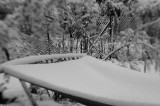 DSC_9978.jpg