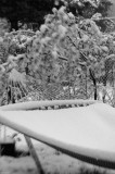DSC_9980.jpg