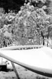 DSC_9981.jpg