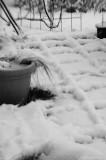 DSC_9982.jpg