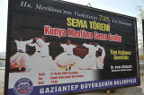 Gaziantep dec 2008 6837.jpg