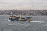 Istanbul december 2009 7126.jpg