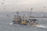 Istanbul december 2009 7131.jpg