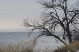 Canakkale december 2009 6574.jpg