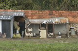 Canakkale december 2009 6606.jpg