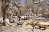 Mut mrt 2008 3738.jpg