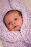 IMG_8412.jpg