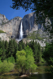 Yosemite Falls Vista.jpg