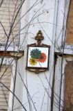 Winter Color