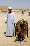 Camel for Hire, Giza