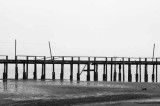 Derelict Dock, Bodega Bay