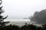 To Mendocino, CA 15