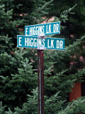 East Higgins Lake Drives
