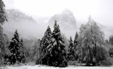 February in Yosemite