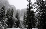 February in Yosemite