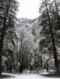 February in Yosemite