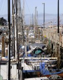 All Things Boats...Dockside
