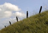 Old Fence Line
