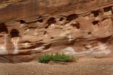  Canyon Wall, Capitol Reef NP