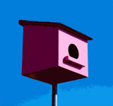 The Other Pink One