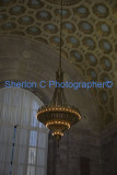 IMGP6851  sherloncrogers.com.jpg
