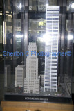 IMGP6873  sherloncrogers.com.jpg