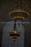 IMGP6891  sherloncrogers.com.jpg