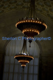 IMGP6893  sherloncrogers.com.jpg