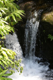 IMG_4901.JPG