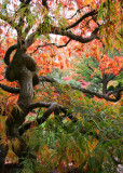 05 Changing Seasons