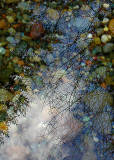 Reflections and River Pebbles