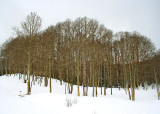 Boulder Mountain in May 2