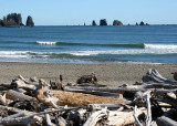 La Push Needles