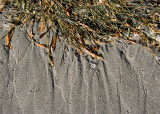 Seaweed/Sand Pattern