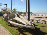 Aquario do Guaruja