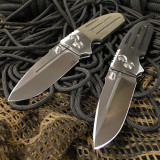 ae_dbl_d6_500.jpg