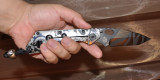 2509966.jpg