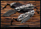 StriderStarlingearSteamPunk800.jpg