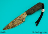 StriderTadGear.jpg