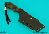 StriderTadGear4.jpg