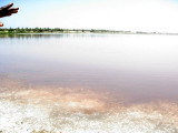 520 Lac Ros The Pink Lake.jpg